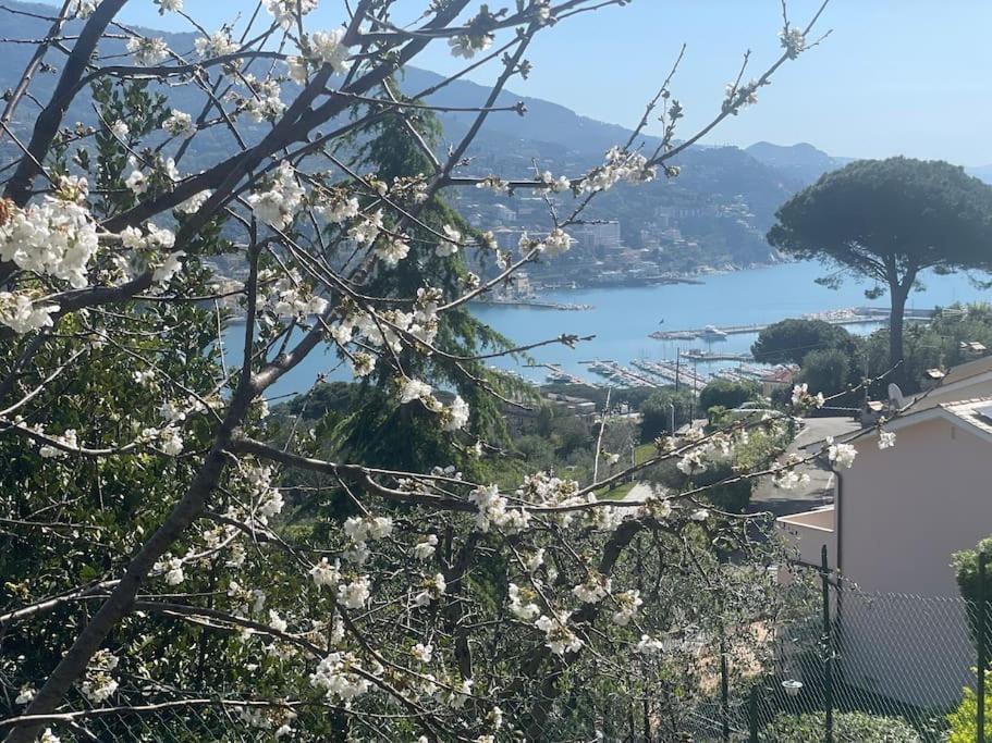 Casa Carmen Rapallo Citra 010046-Lt-2165 Dış mekan fotoğraf